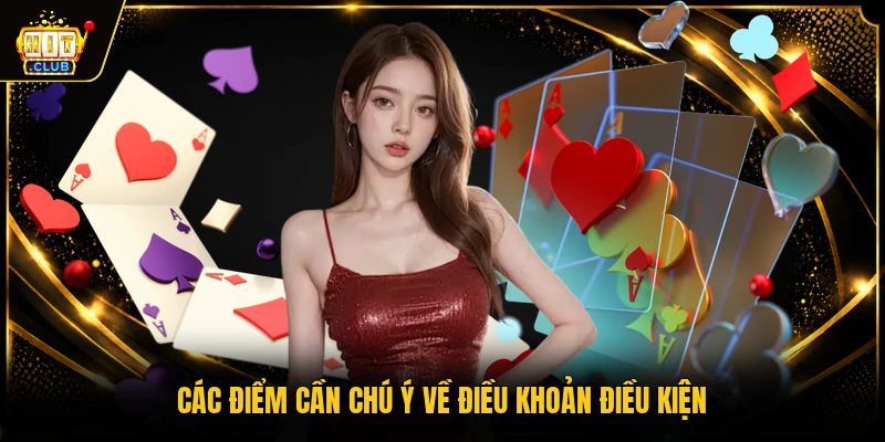 Các điểm cần chú ý về điều khoản điều kiện