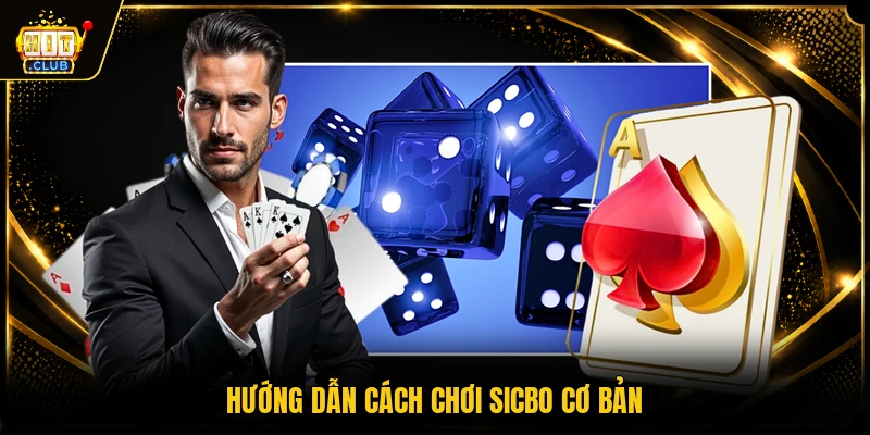 Tài xỉu 3 Hướng dẫn cách chơi sicbo cơ bản