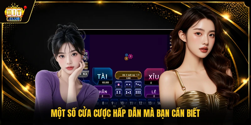 Xóc đĩa 2 Một số cửa cược hấp dẫn mà bạn cần biết