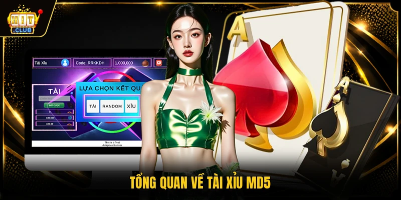 Tổng quan về tài xỉu MD5